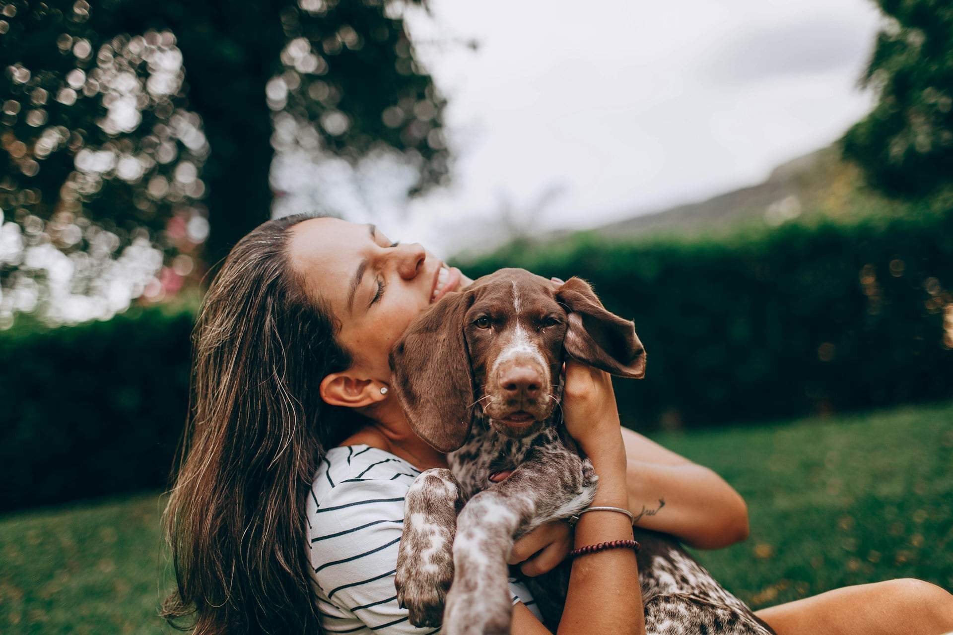 Why your dog stares at you while going to the bathroom, according to canine experts — Family