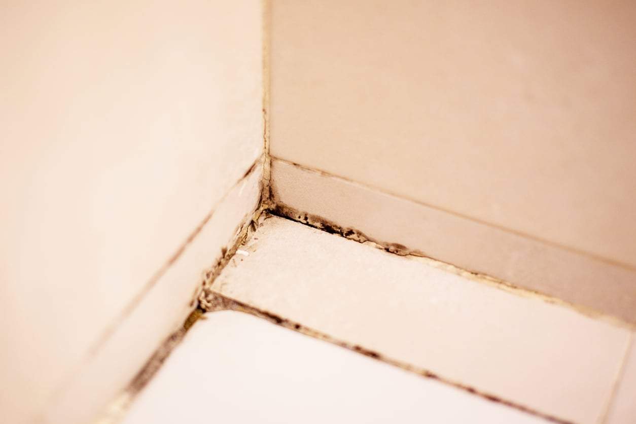 Black Mold in Your Bathroom Grout? Spread This On and It'll Turn White Again — Household