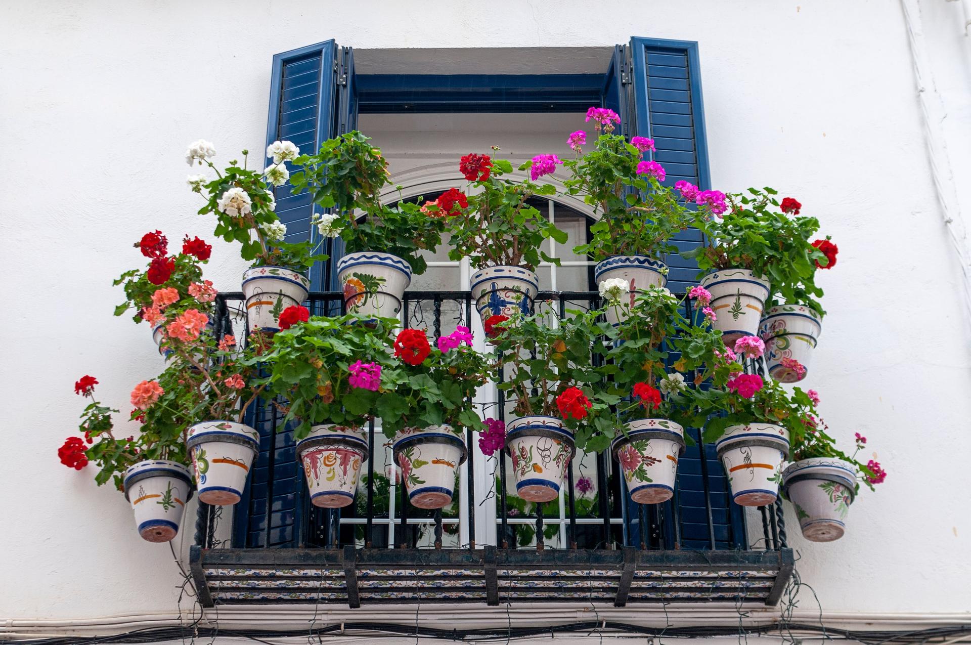 Cut These Balcony Plants Back Hard in Late August and You'll Get a Second Flush — Plus Three to Leave Alone — Garden & terrace