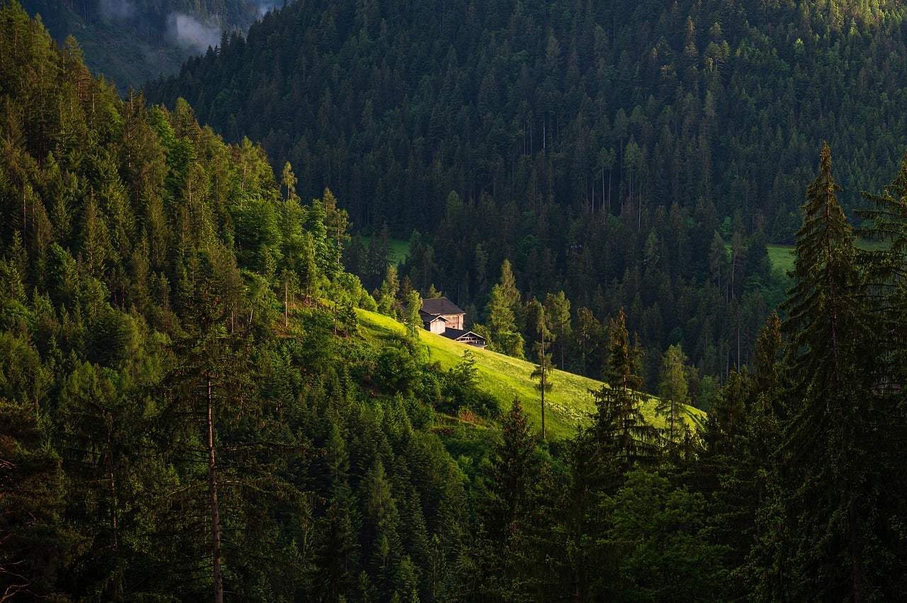 4 hidden corners of the Hungarian countryside where the phone signal fades and the silence takes over — Leisure