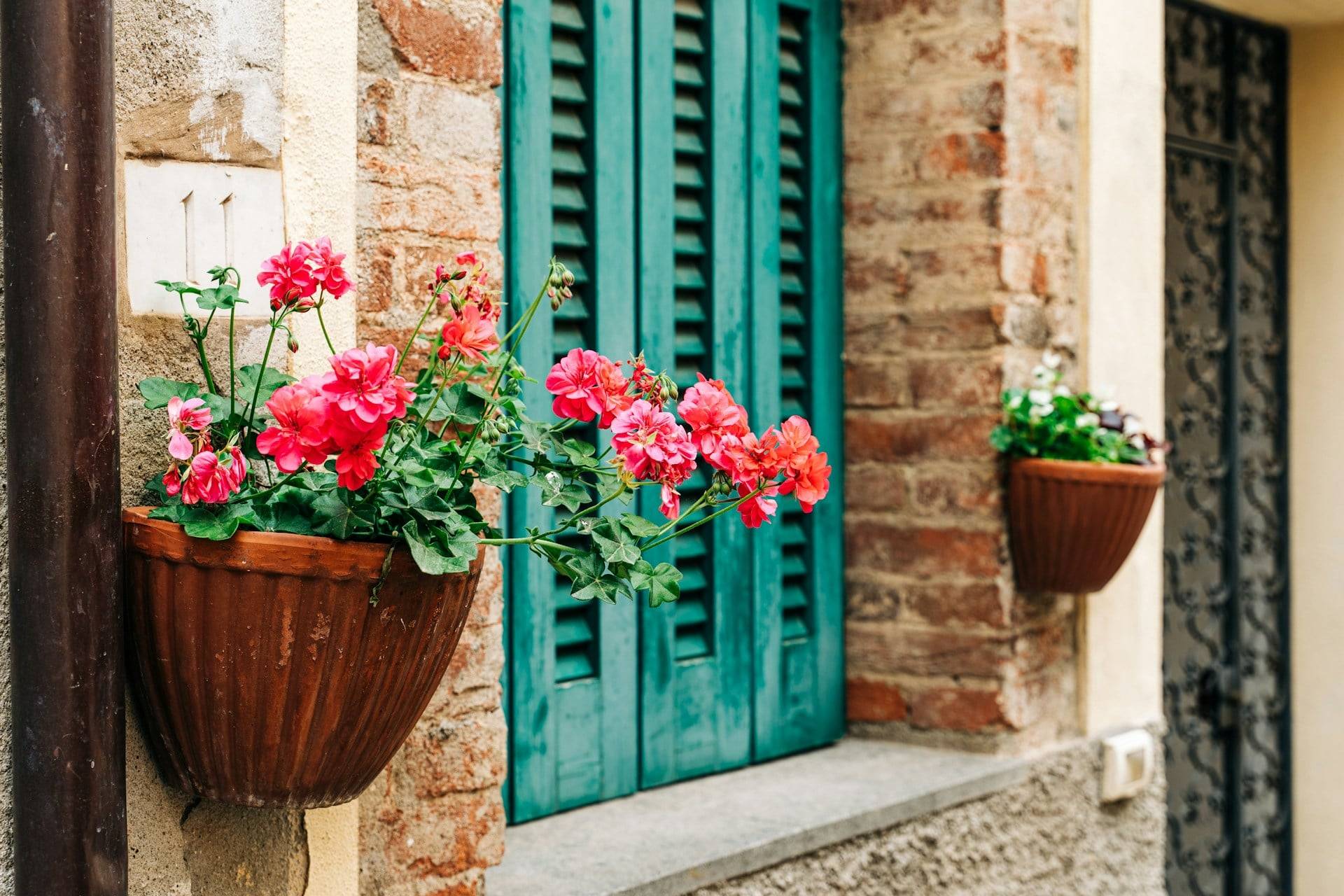 The tiny plant trick that makes your terrace feel noticeably cooler — Garden & terrace