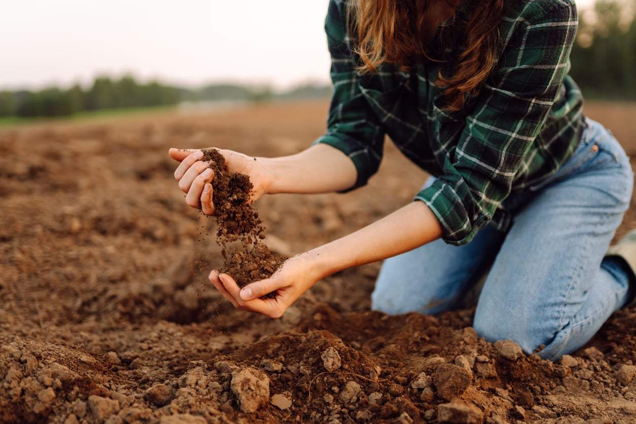 The lazy gardener's secret weapon: cut your watering by two-thirds this summer — Garden & terrace