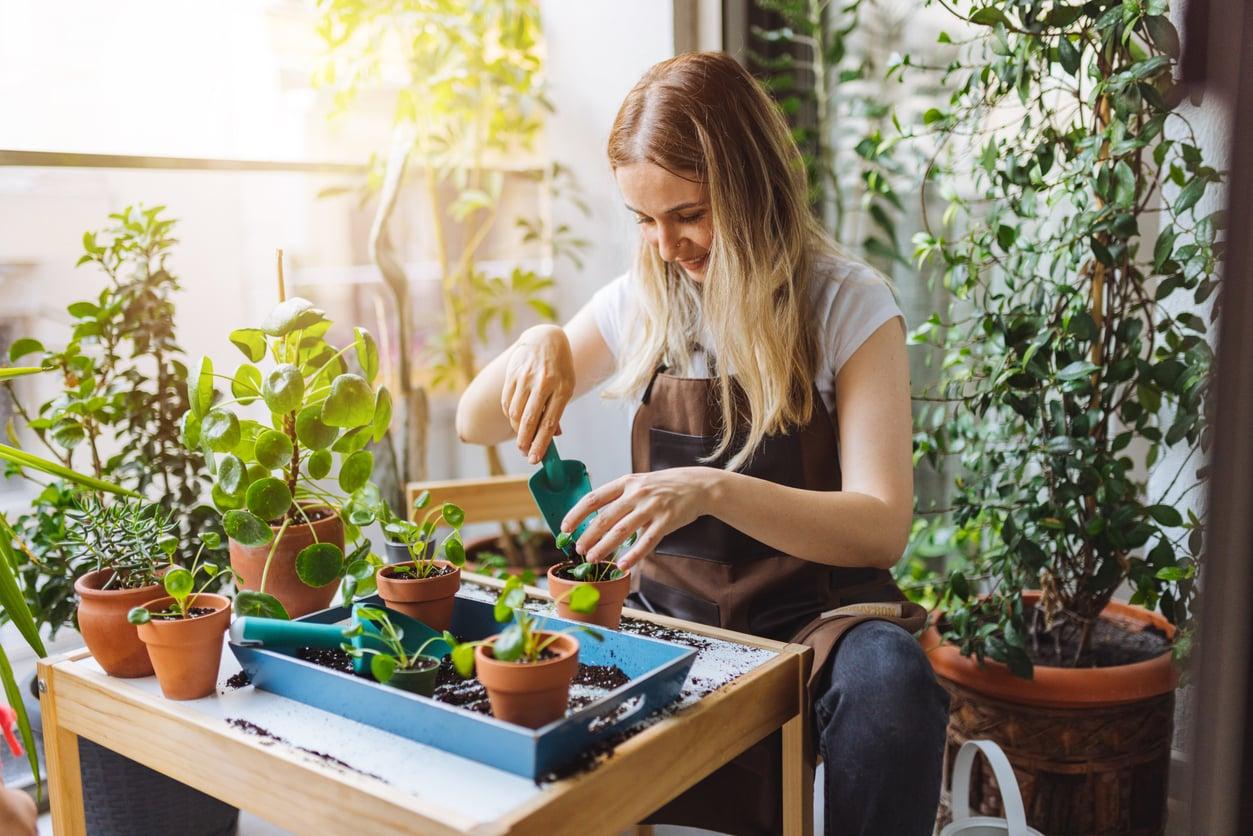 I tried the "lazy gardener" method on my balcony, and it gave me more plants than ever — Garden & terrace