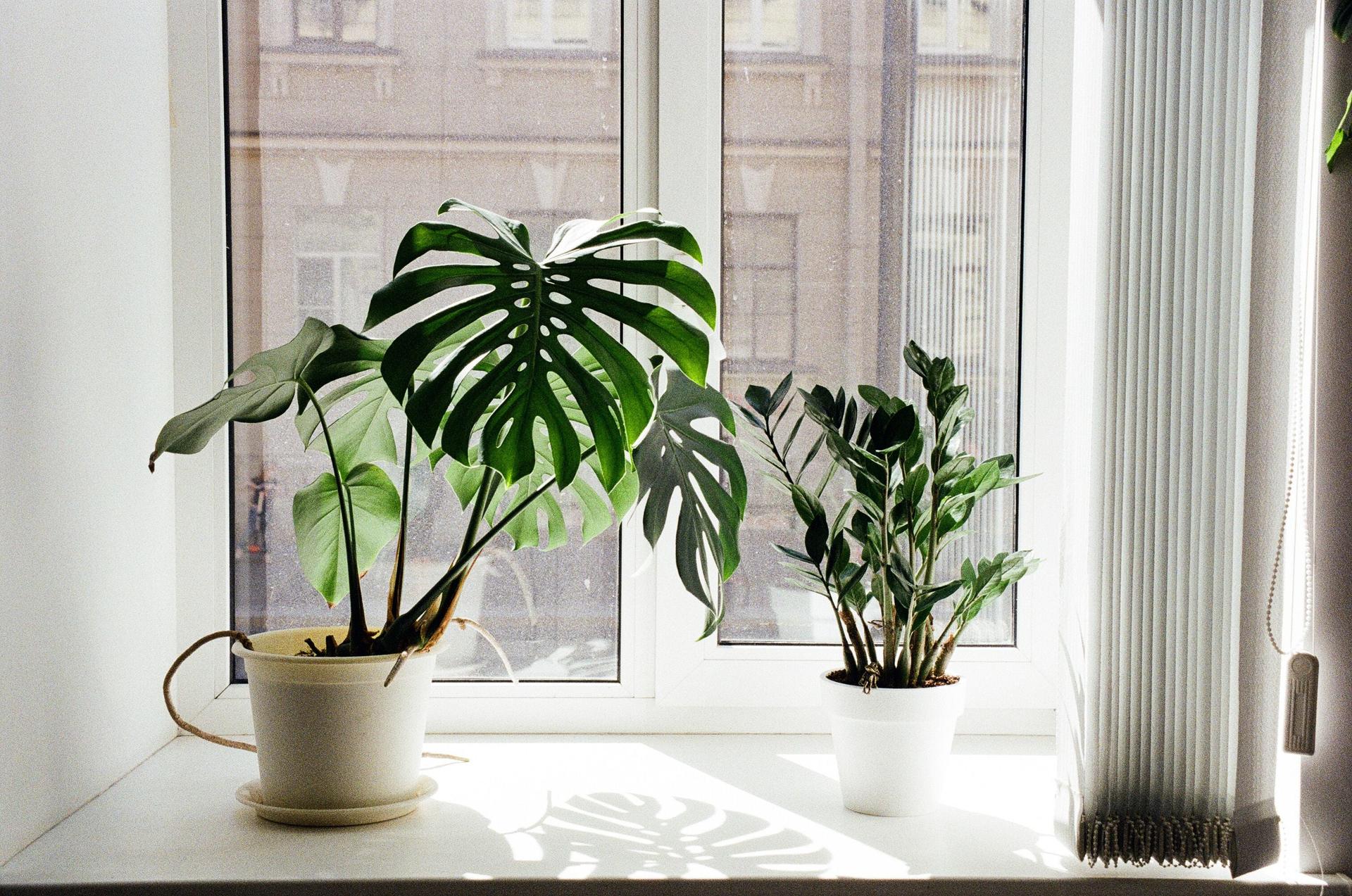 Don't Pack the Balcony Away Yet: Making Outdoor Space Work Through the Cold Months — Garden & terrace