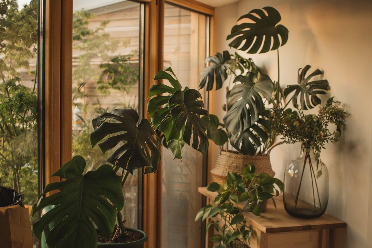 Before You Rip It Out: The Dated House Features Worth Keeping — Home