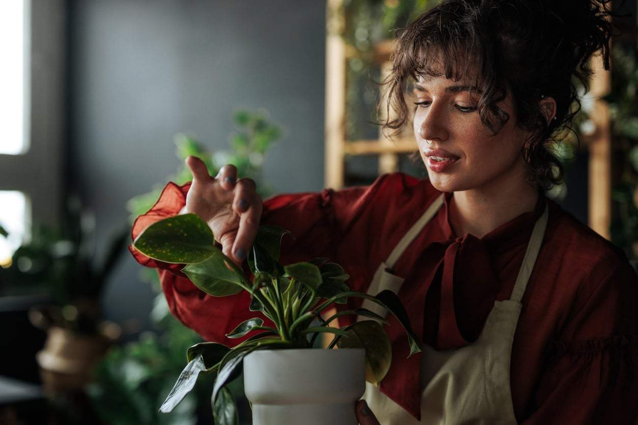 The best houseplant for your zodiac sign to keep negative energy away — Decor