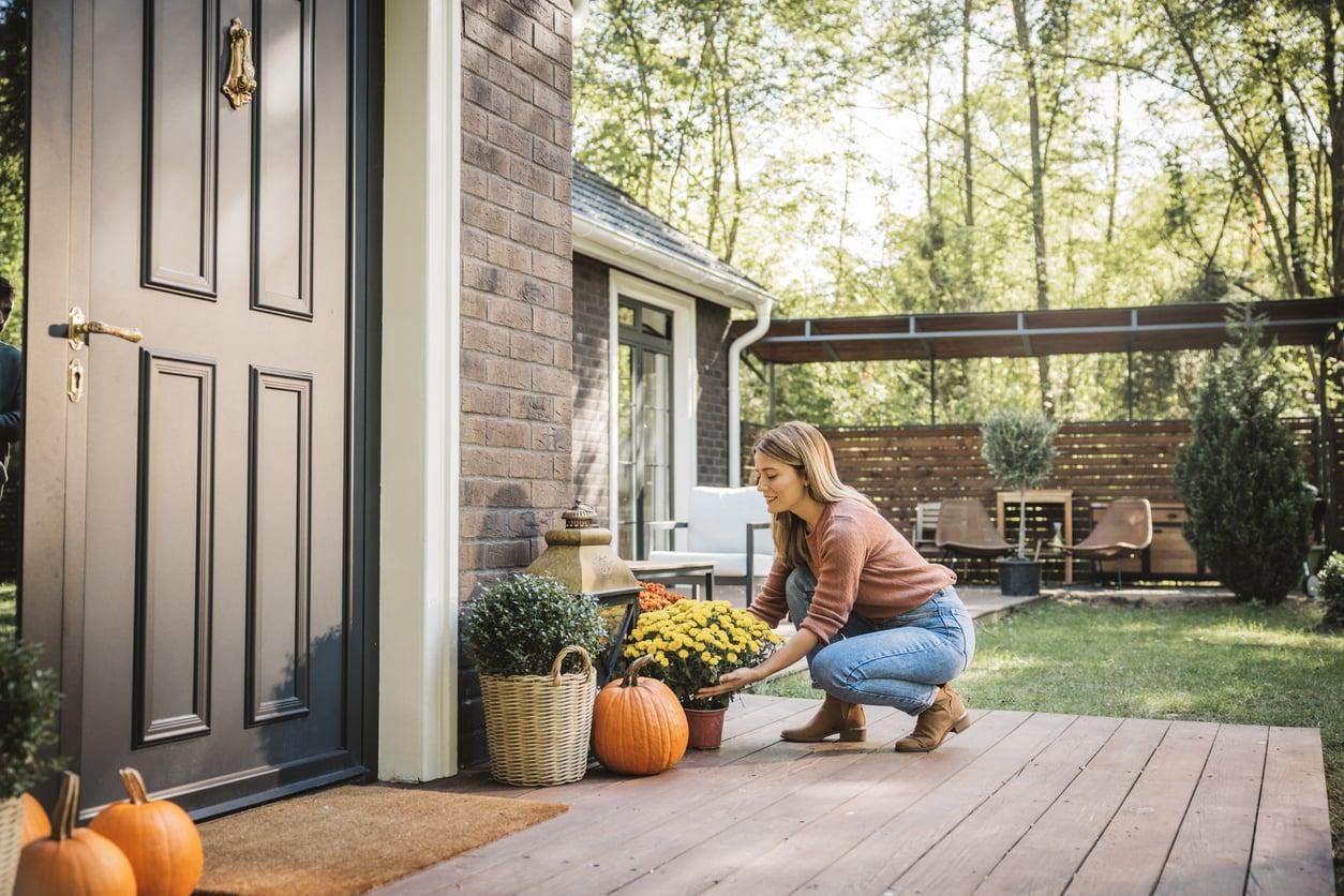 Should You Repot in October? What to Move Now, and What to Leave Until Spring — Garden & terrace