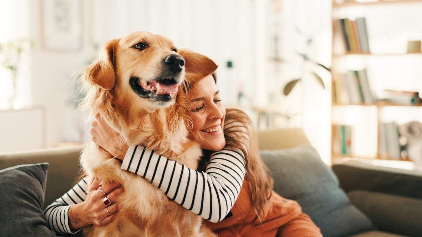 5 things your dog does to tell you it has the perfect life with you — Family