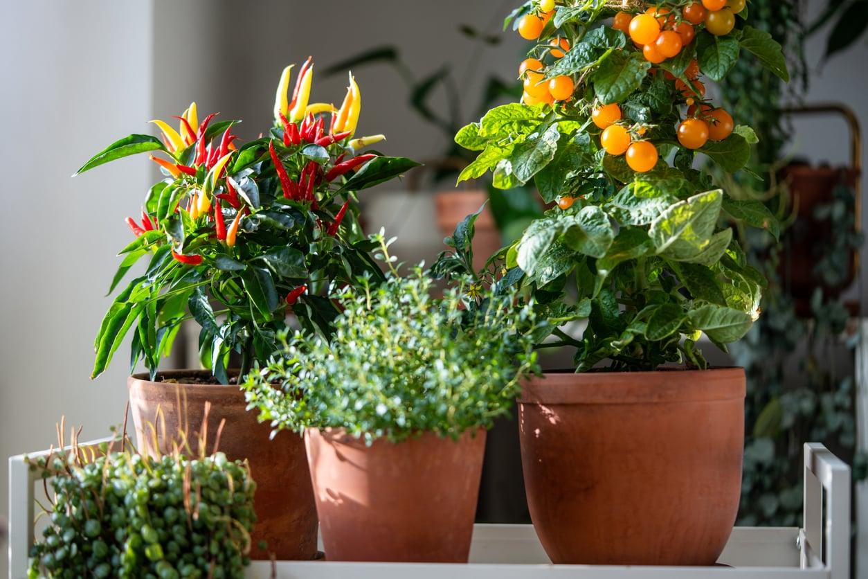 How to Organise a Fridge So Food Stops Dying in the Back — Household
