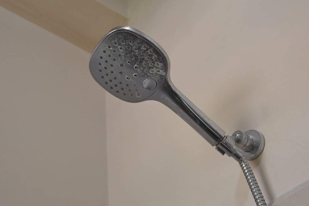 Your Shower Head Is Clogged with Limescale — This Simple Trick Fixes It in Minutes — Household